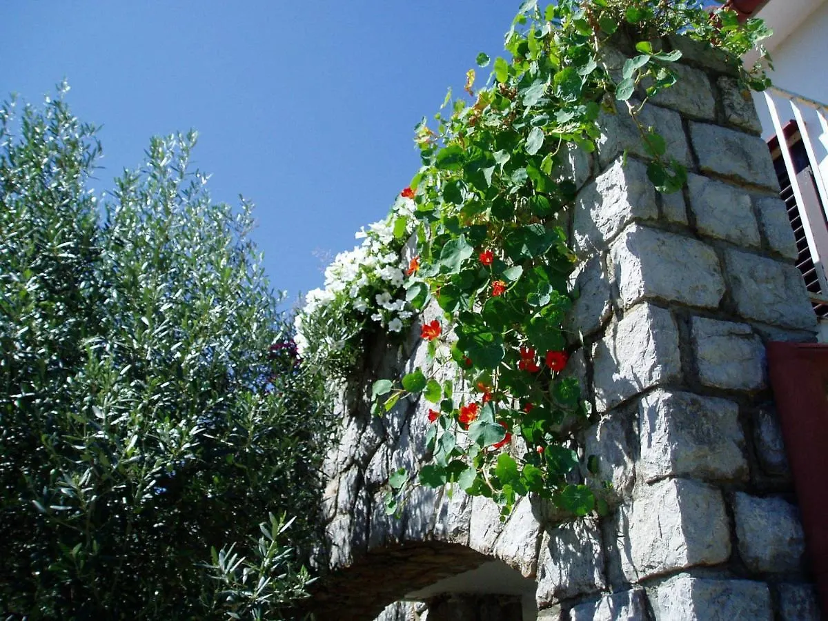 Apartments Vjera Krk Town Croatia